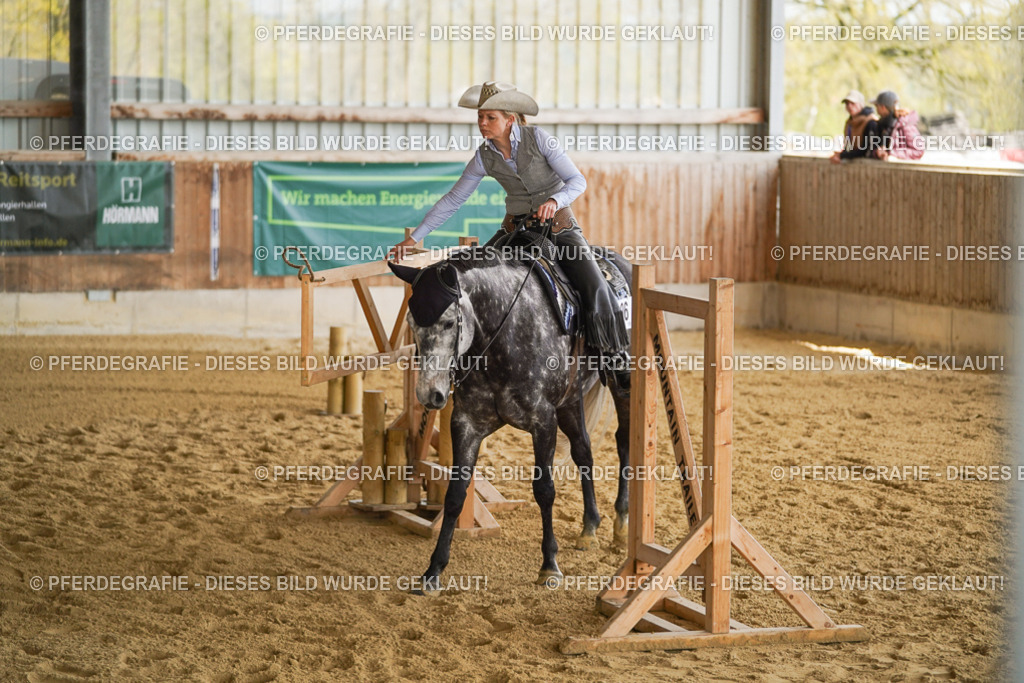 DSC03562 | Pferdegrafie