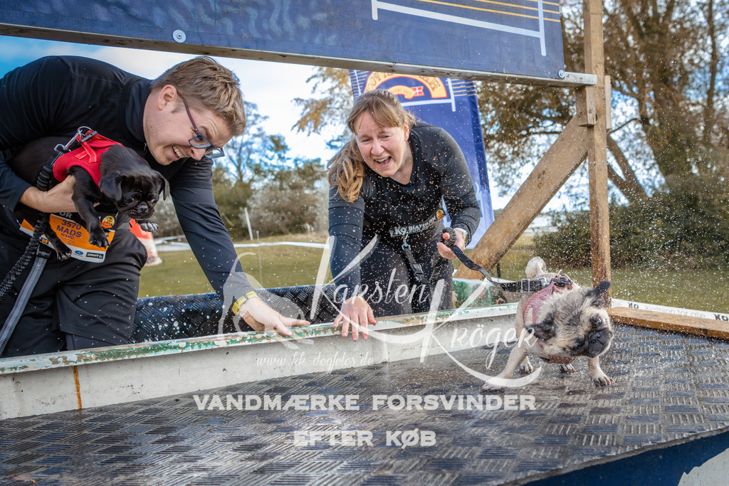 1509_ZZ95977 | kk-dogfotos