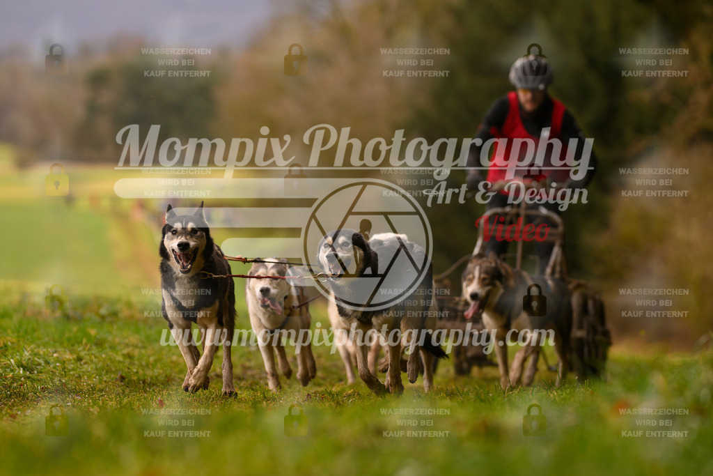 MompixPhotography_2SSTSSBW_2025_SO_Kart-43 | PayLife