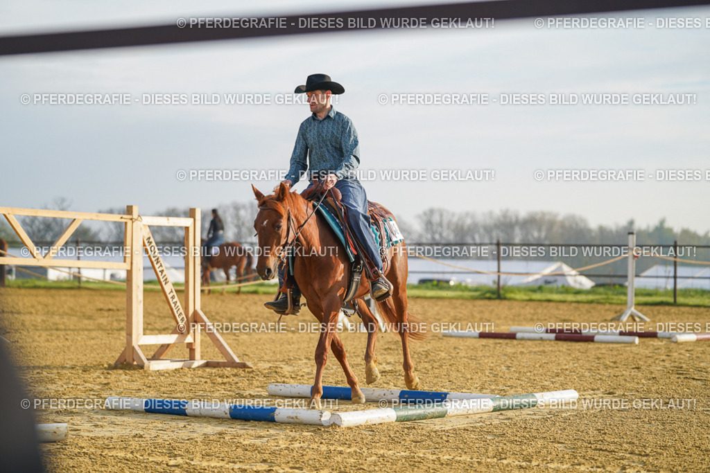 DSC09727 | Pferdegrafie