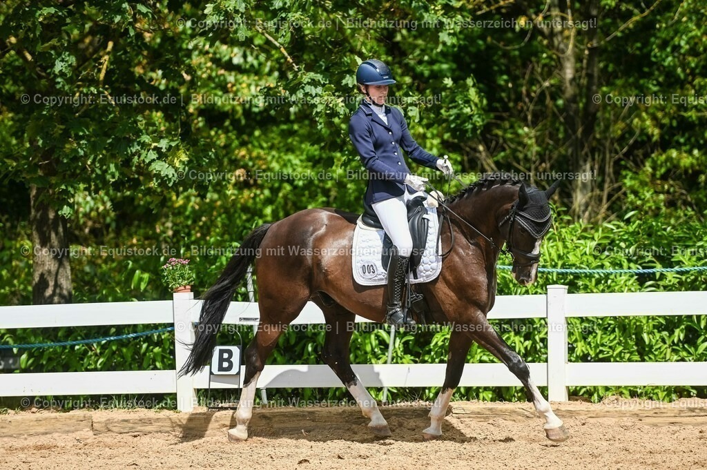 20230715_02_Dressurreiterprüfung Kl.L_0275 | equistock