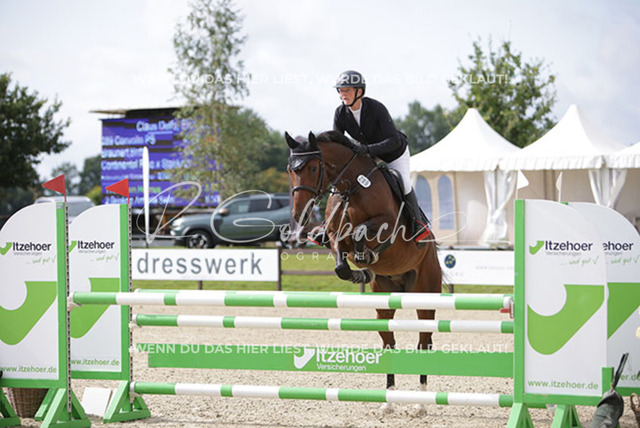 1J2A0733Britta Braunert_ Convolto PS_ Kn289_ Havekost | Foto- und Videografie für alles rund ums Pferd. Hochwertige Bilder und Videos vom Spring- und Dressurreiten, Voltigieren & mehr. Jetzt aktuelle Veranstaltungen und Preise im Shop ansehen. - Realisiert mit Pictrs.com