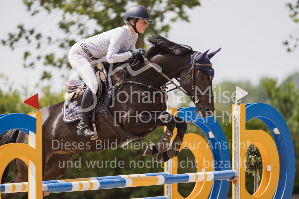 230616_Lemwerder_Springpf-L2-624 | Deine schönsten Turniermomente als professionelle Fotos! Entdecke hochwertige Pferdesport-Fotografie im Online-Shop. Jetzt Fotos finden & bestellen!