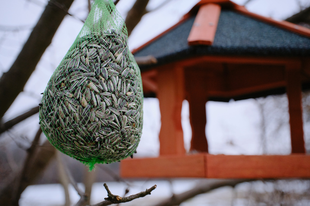 grünes Netz mit Vogelfutter am Baum hängend | Wien, Austria - December 13, 2022: grünes Netz mit Vogelfutter am Baum hängend, im Hintergrund ein Vogelhaus. - Realisiert mit Pictrs.com