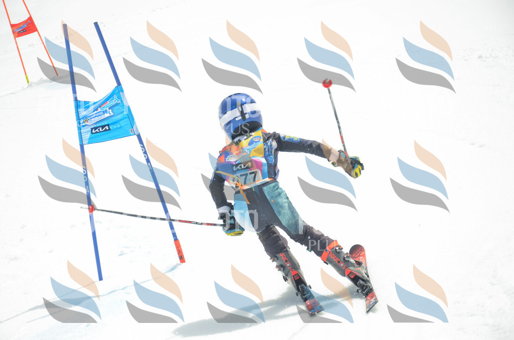 _ELE7895 | holidayphoto