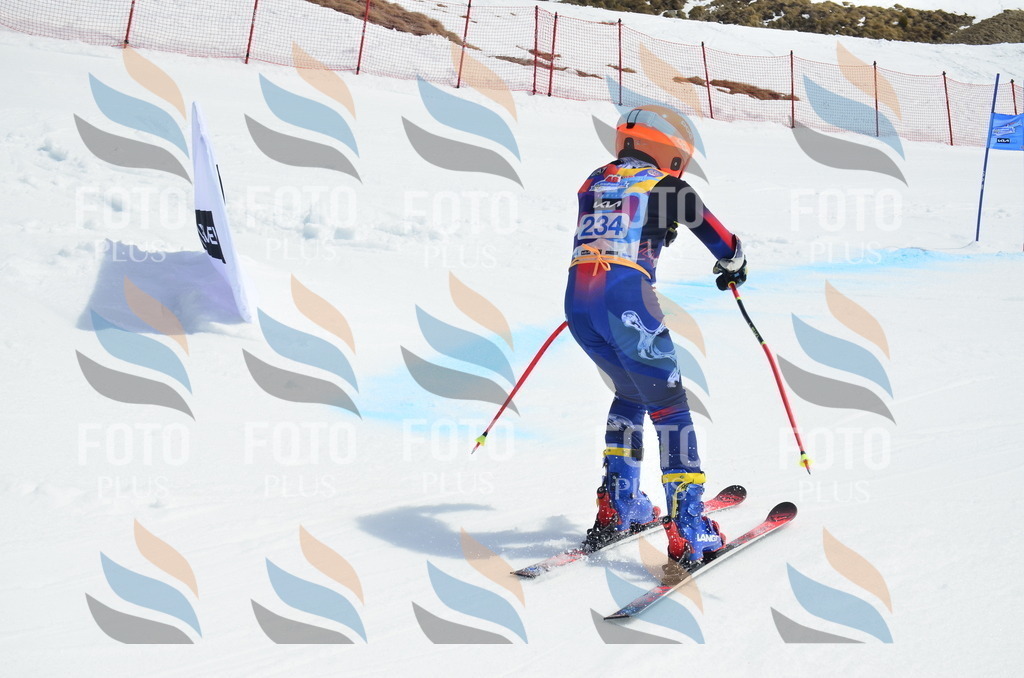 _ELE1674 | holidayphoto