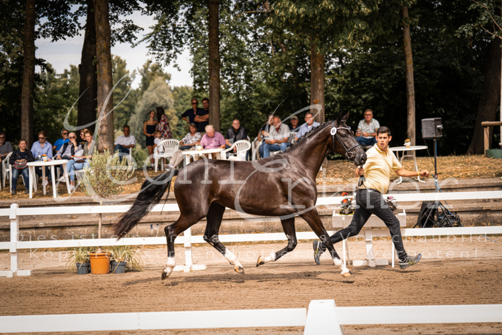 4.Fr00183 | Leoni Ertmer Photography - Realisiert mit Pictrs.com