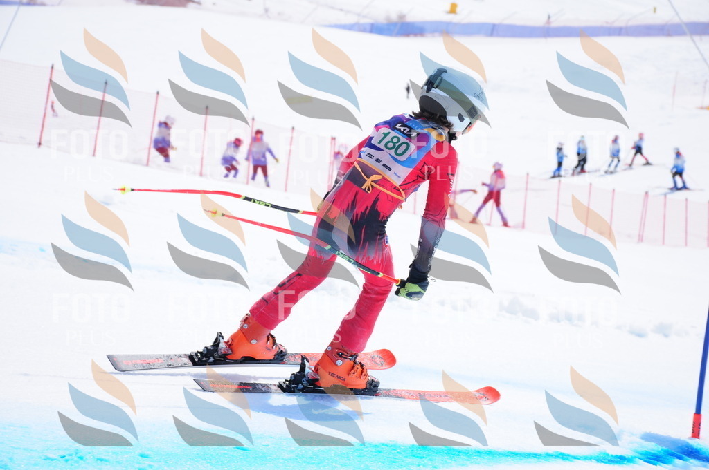 DSC_1595 | holidayphoto