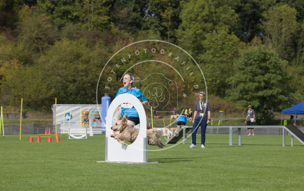 0L8A3550 | Hundefotografie, Tierfotograf, Pfotenfotografie, Fotoshooting Hund, Hunde Portrait, Hundesport, Hundeportraits, Heideshooting, Hunde, Sportfotograf, Hundefotograf, Turnierhundsport, THS,  - Realisiert mit Pictrs.com