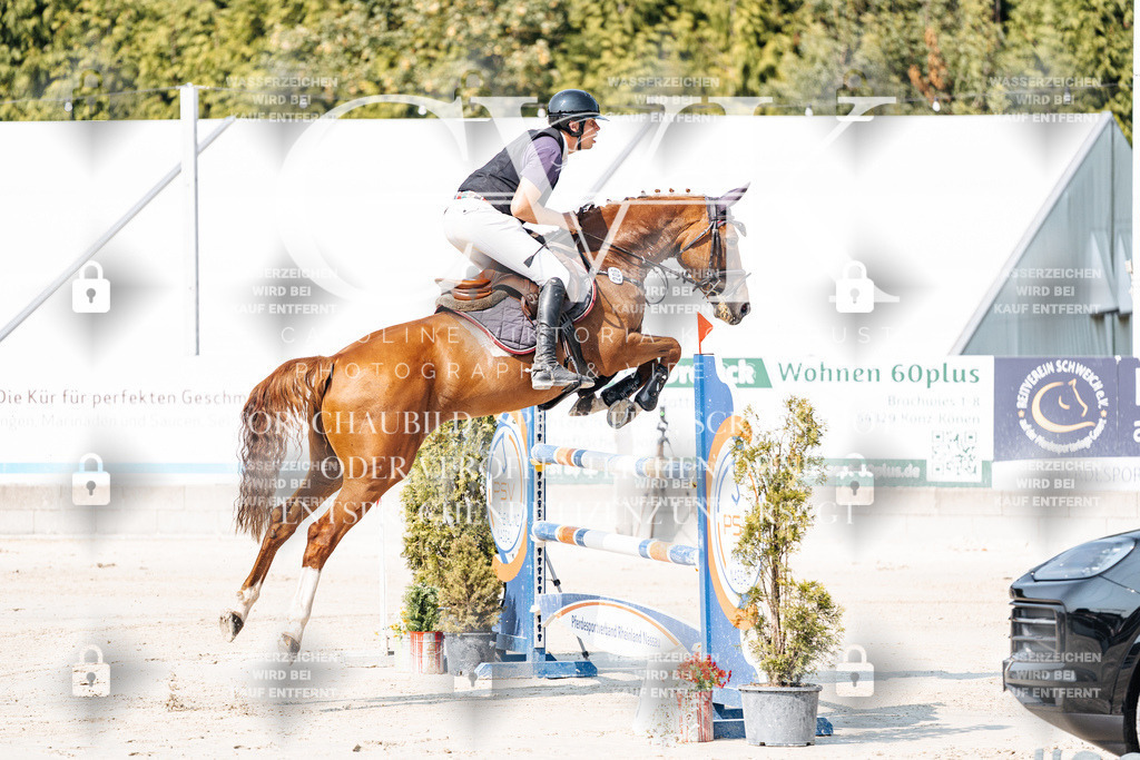 CK901968 | Turnierfotografie Pferdefotografie Trier Rheinland-Pfalz Pferdesport Reitsport Tierfotografie Sportfotografie Pferdevideo Pferdevideografie Equestrianvideography equestrianphotography  - Realisiert mit Pictrs.com