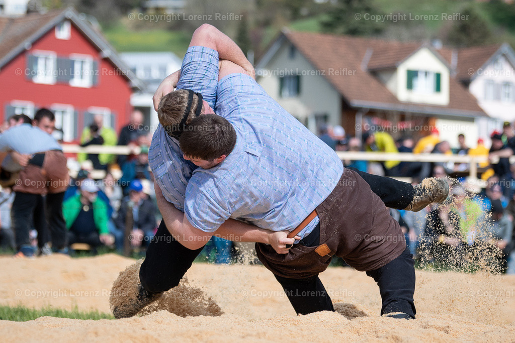 Schwingen -  Rheintal-Oberländer 2023 | Altstätten, 2.4.23, Schwingen - Rheintal-Oberländer.