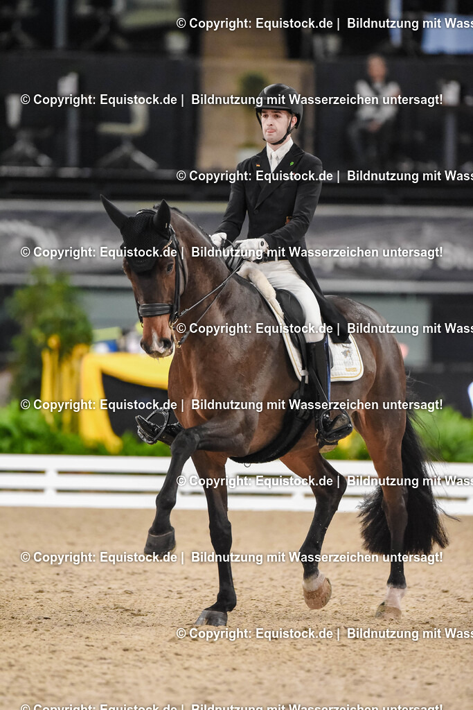 20251112_Dressur_iWest_TOMSPIC_01970197 | Foto: Thomas Hartig