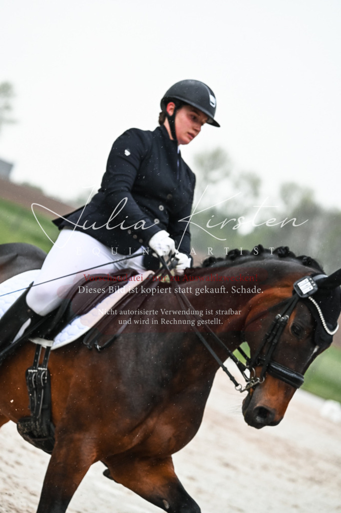 DSC_4548 | Pferde- und Turnierfotografie in Westsachsen. Pferdeportraits, Auftragszeichnungen und intuitive Kunst.