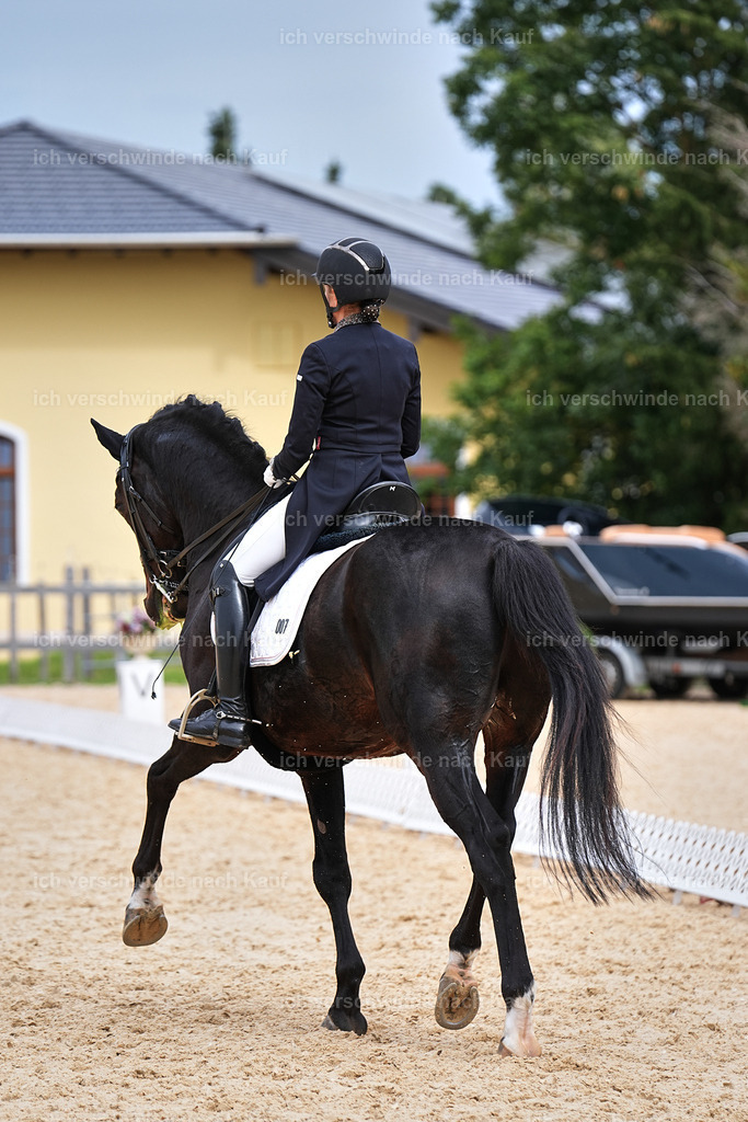 11-007-Dressur S___-Marixx-1703 | working equitationturnier fotograf videograf stoibphotography marixx film working equitation deutschland reitsport turnierfotografie eventfotografie equestrian events