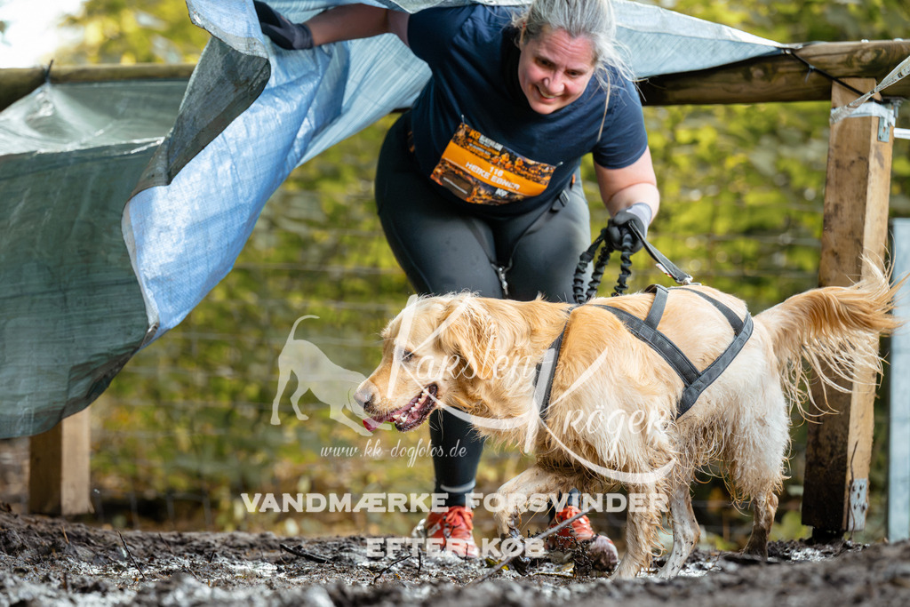 1417DZ6_1475Z6 | kk-dogfotos