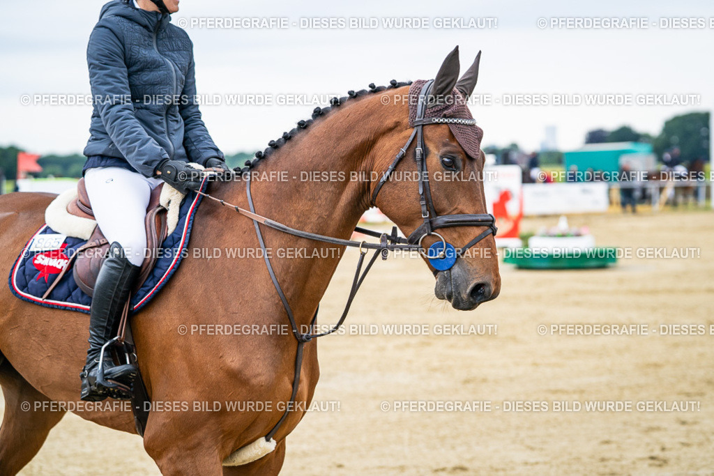 DSC05563 | Pferdegrafie