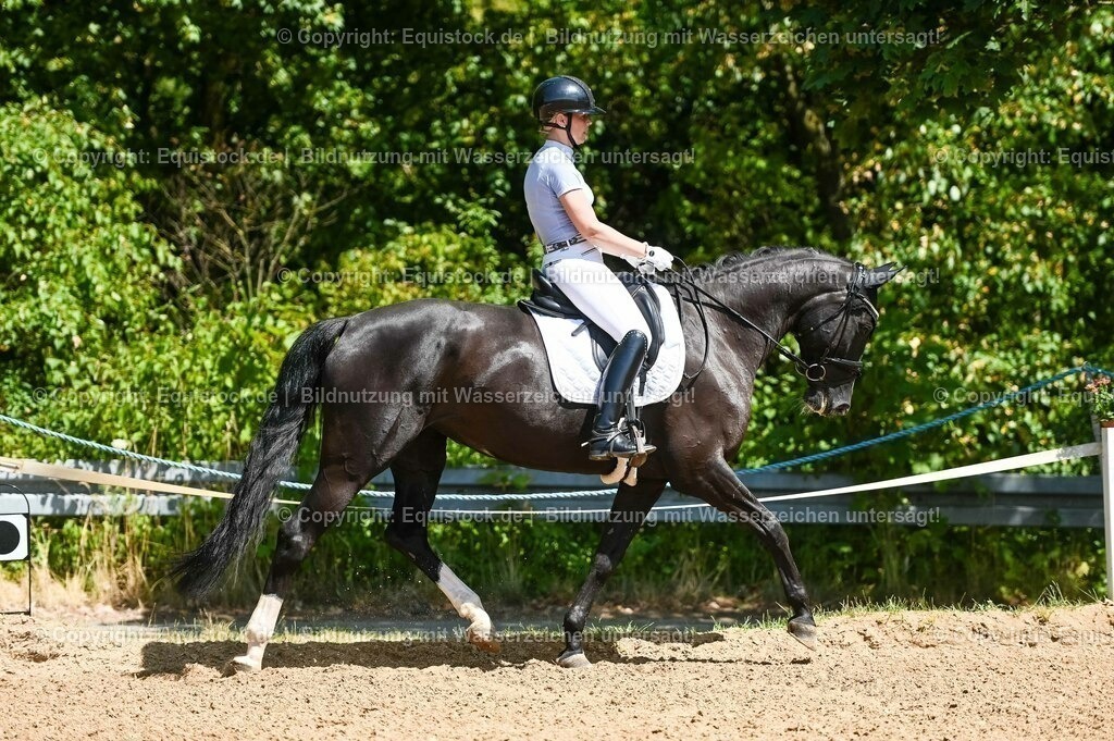 20230715_02_Dressurreiterprüfung Kl.L_0041 | equistock