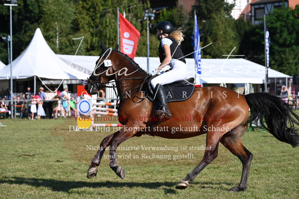 DSC_5156 | Pferde- und Turnierfotografie in Westsachsen. Pferdeportraits, Auftragszeichnungen und intuitive Kunst.