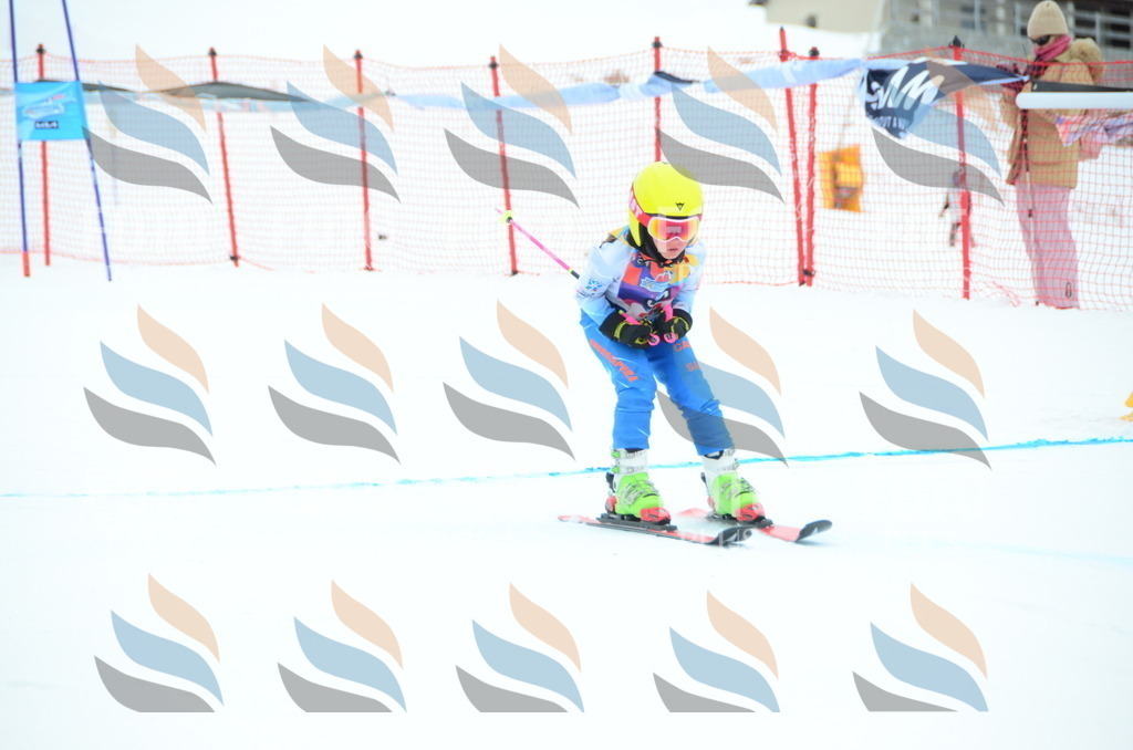 DSC_0797 | holidayphoto