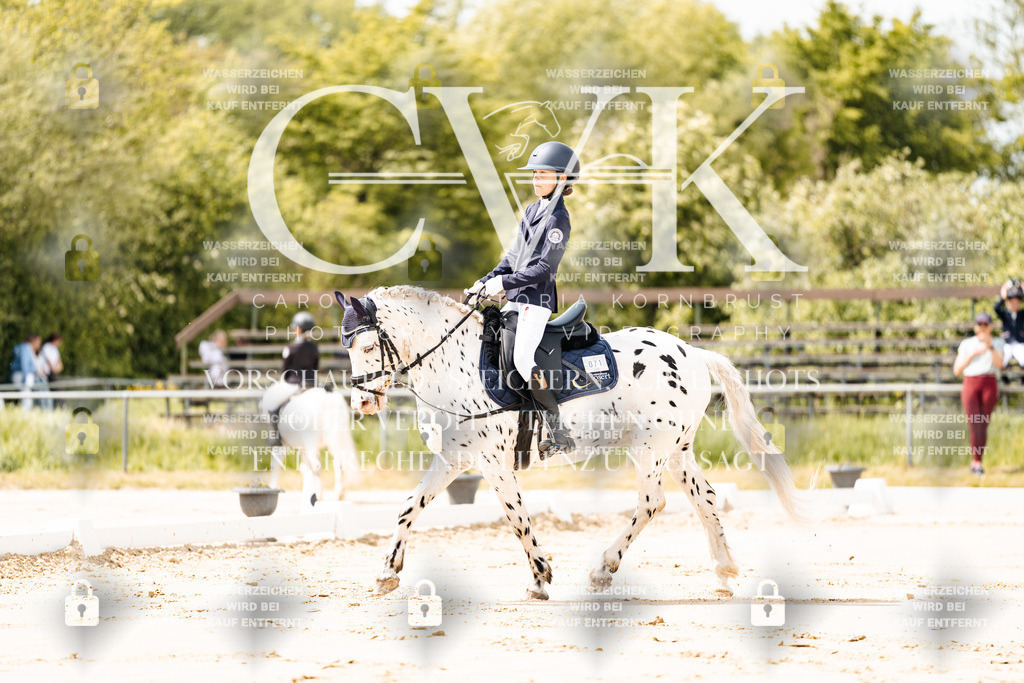 CK901691 | Turnierfotografie Pferdefotografie Trier Rheinland-Pfalz Pferdesport Reitsport Tierfotografie Sportfotografie Pferdevideo Pferdevideografie Equestrianvideography equestrianphotography  - Realisiert mit Pictrs.com