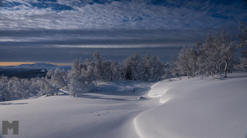 Storskarven | Landschafts- und Tierfotografie zu allen Jahreszeiten. Und immer die Schönheit des Lichtes im Auge... - Realisiert mit Pictrs.com