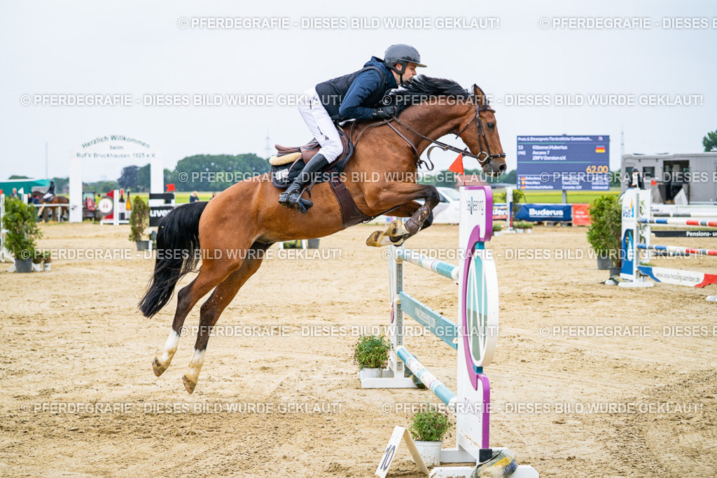 DSC08332 | Pferdegrafie