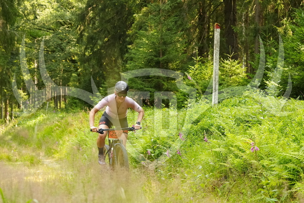 FC103174 | Fotogalerie der Treibjagd im Dunkelwald - Dein MTB Etappenrennen im Erzgebirge - Realisiert mit Pictrs.com