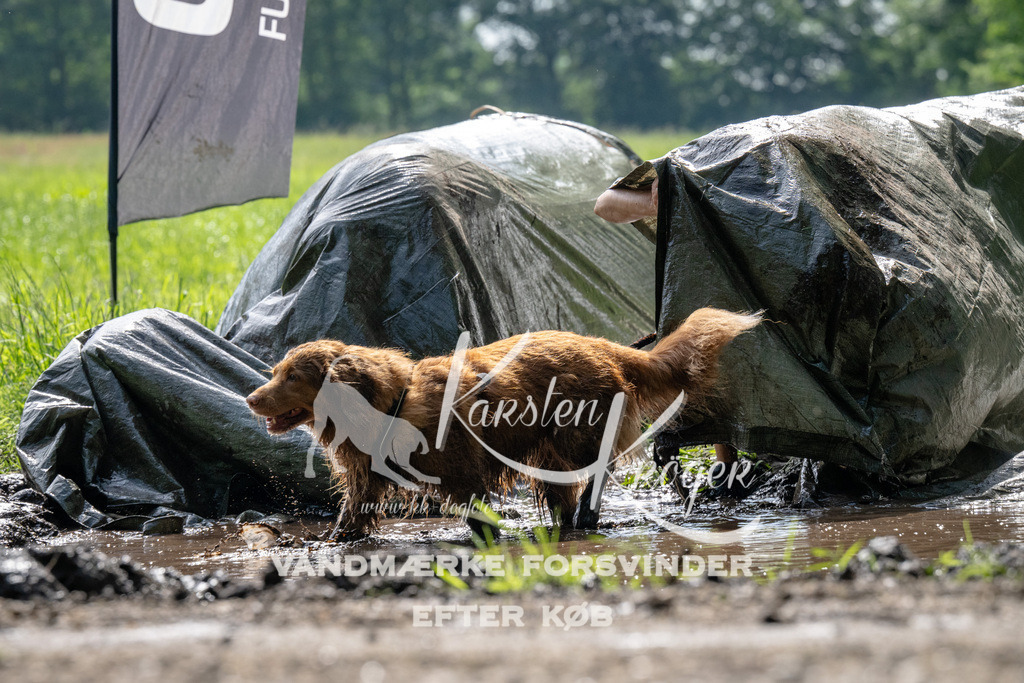 0913_ZZ90480 | kk-dogfotos