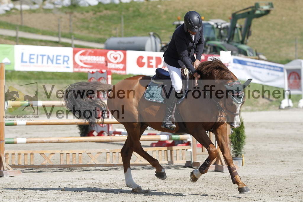 _MG_9385 | equestrian-live-com