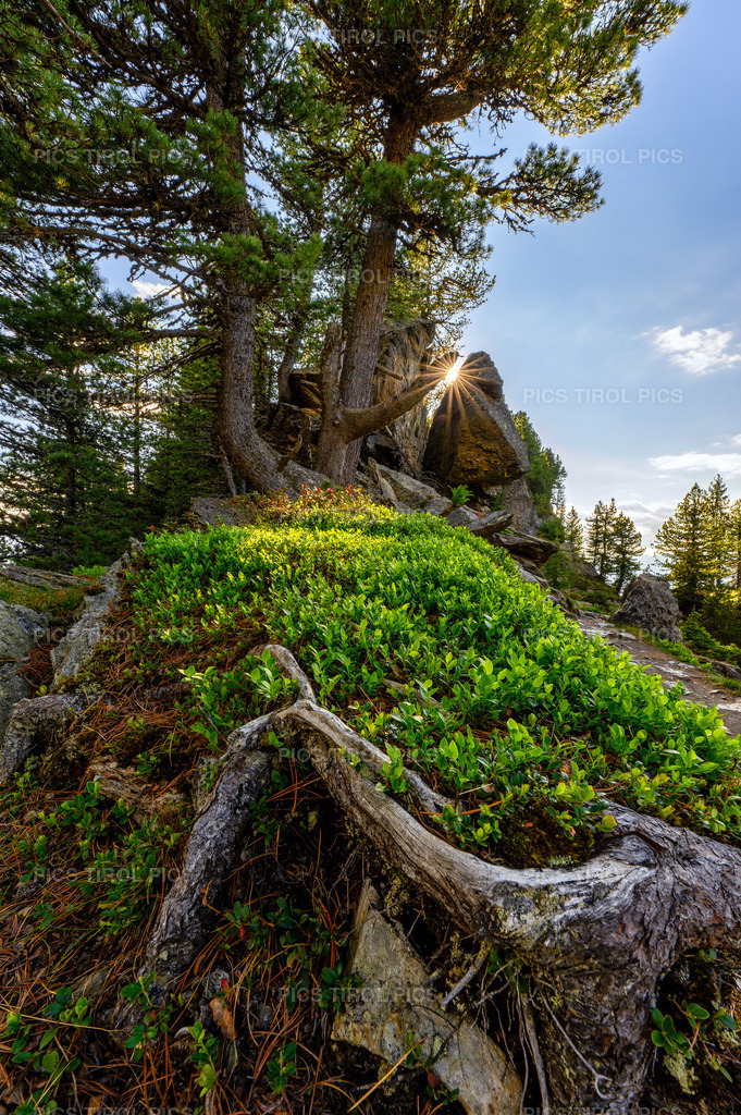 DSC_1152-HDR-Bearbeitet | Tirolpics