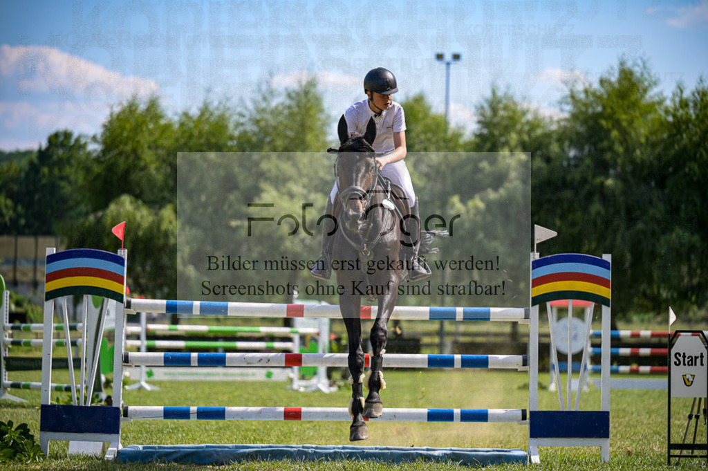 Reitturnier Voxtrup | Entdecke hochwertige Reitturnierfotos von Foto Oger. Professionell, emotional und authentisch – jetzt Lieblingsmomente im Shop bestellen.Deutschlandweite Turnierfotografie. - Realized with Pictrs.com
