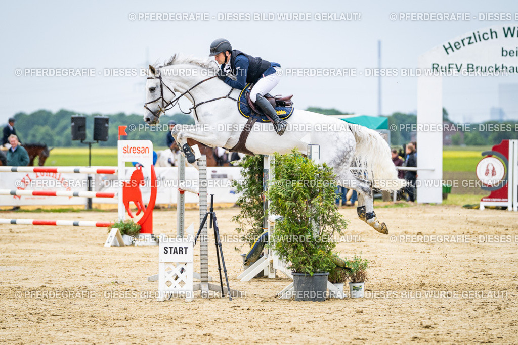 DSC07040 | Pferdegrafie