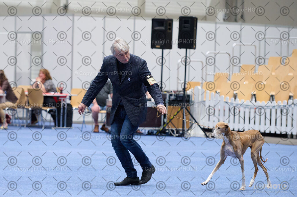 202406_ÖKV-IHA-Tulln24_DSC_3243 | proPHOTO - Realisiert mit Pictrs.com