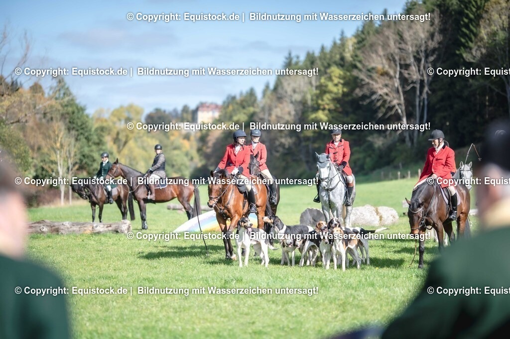 20251011_Jagd-Marbach_0165 | Foto: Thomas Hartig