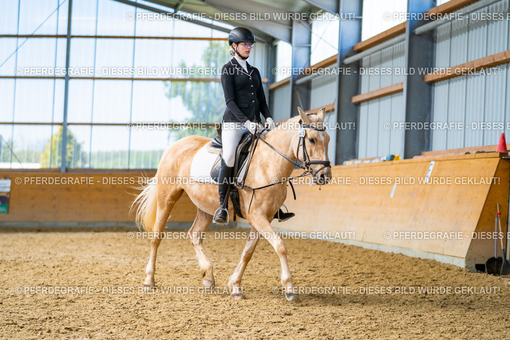 DSC09315 | Pferdegrafie