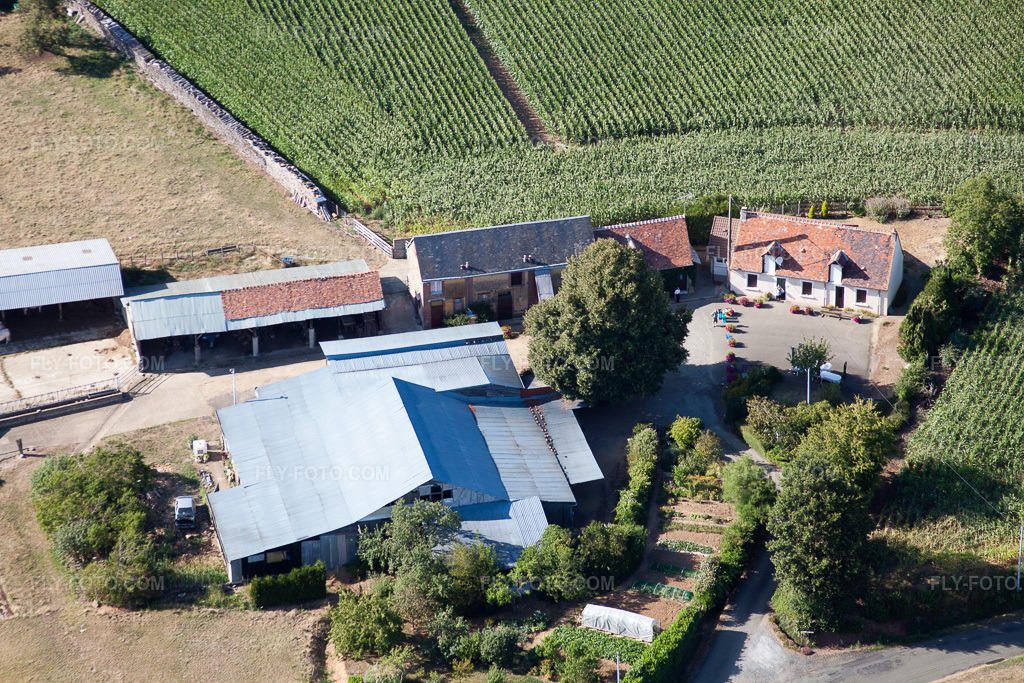 Aerial view: La Petite Franchaise (Apiculteur) in Coudrecieux in the state Sarthe, France.Photo: IMG_20158.jpg taken on 07/31/2009 by Werner Riehm/FLY-FOTO.comResolution of the original: 4752 x 3168 px