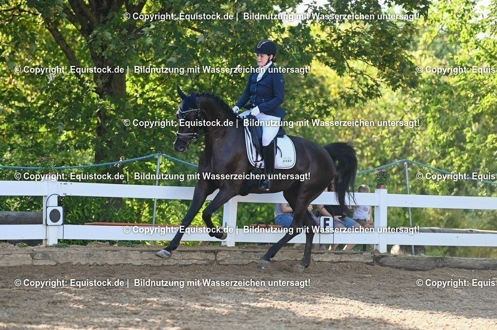 20230715_06_Dressurpferdeprfg. Kl.A_0182 | equistock