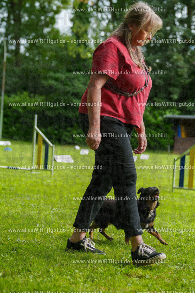 @allesWIRTHgut_Tierfotografie - www.allesWIRTHgut.de - 090154-7R506430 | Professionelle Tierfotografie in Mönchengladbach von Daniel Wirth (allesWIRTHgut). Liebevolle & natürliche Bilder von Hunden & Katzen für unvergessliche Erinnerungen.