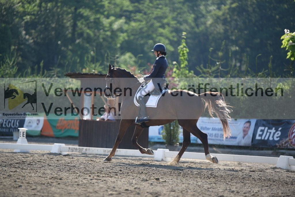 DSC_2944 | equestrian-live-com