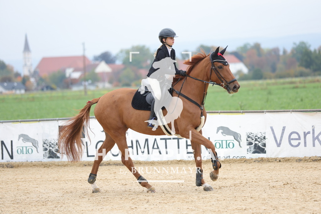 0P6A0885 | Willkommen bei Brunnmayr - Design & Fotografie – Ihrem Spezialisten für Reitturniere und Pferdeveranstaltungen in Oberösterreich, Salzburg und Bayern! Seit über 17 Jahren sind wir leidenschaftlich dabei.