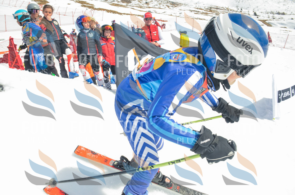 _ELE6501 | holidayphoto