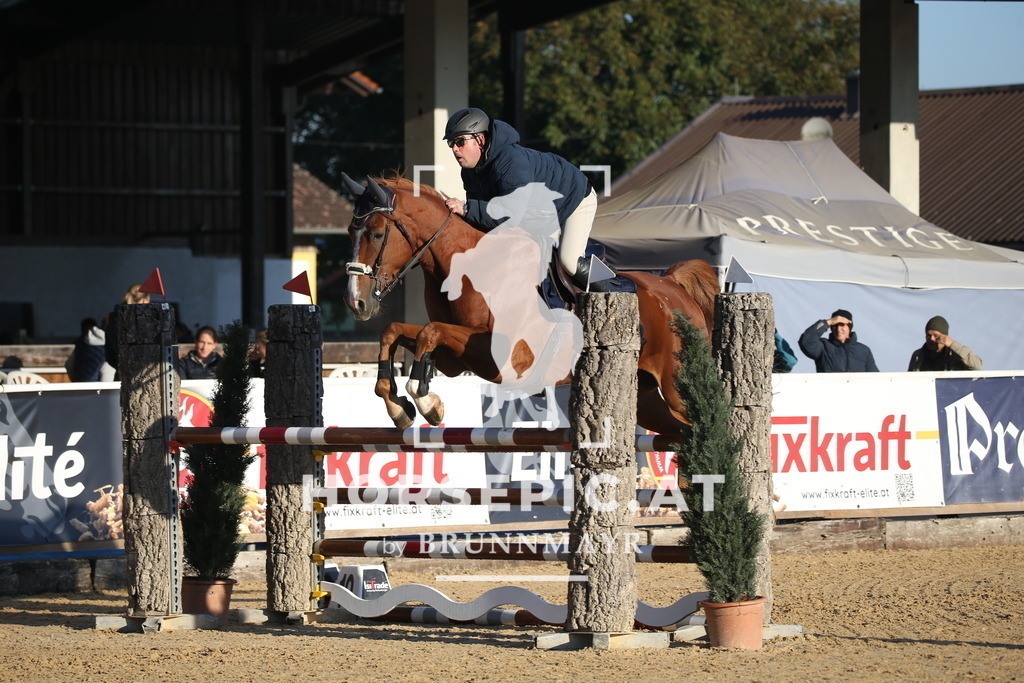 DL2Q0625 | Willkommen bei Brunnmayr - Design & Fotografie – Ihrem Spezialisten für Reitturniere und Pferdeveranstaltungen in Oberösterreich, Salzburg und Bayern! Seit über 17 Jahren sind wir leidenschaftlich dabei.