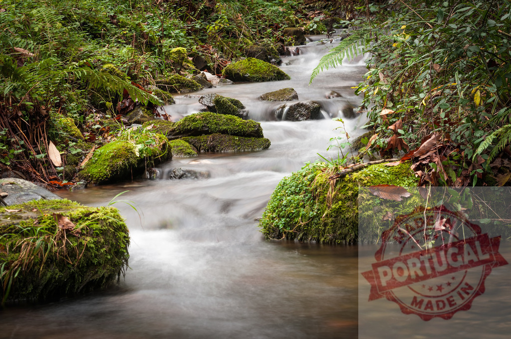 Stream flowing through mossy rocks in lush forest | Small river flowing through mossy rocks and lush vegetation in an idyllic forest - Realisiert mit Pictrs.com