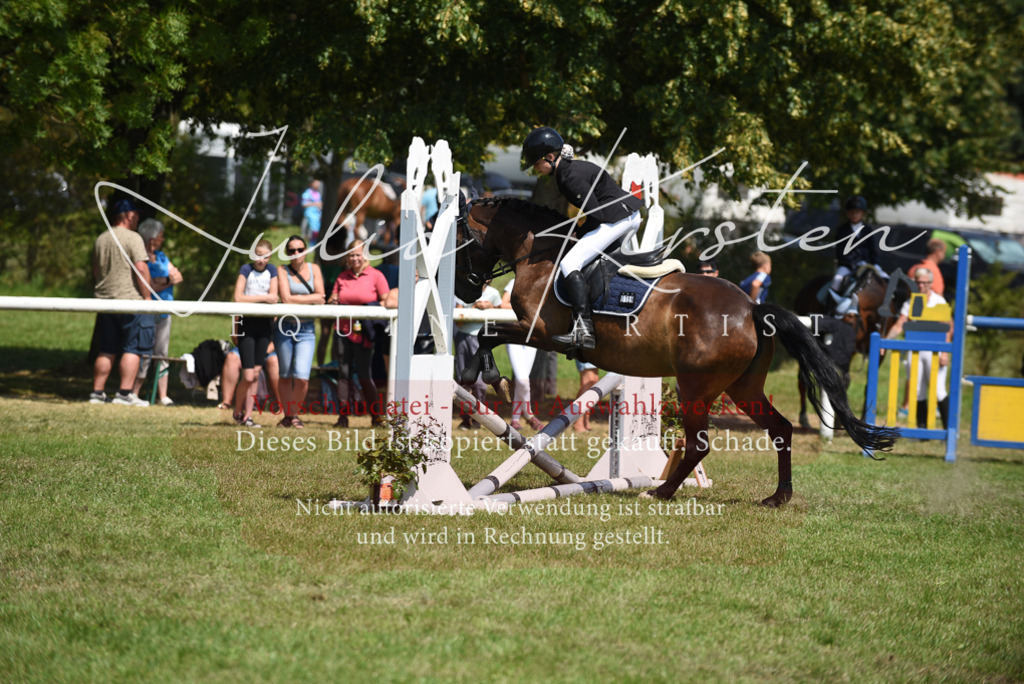 DSC_9922 | Pferde- und Turnierfotografie in Westsachsen. Pferdeportraits, Auftragszeichnungen und intuitive Kunst.
