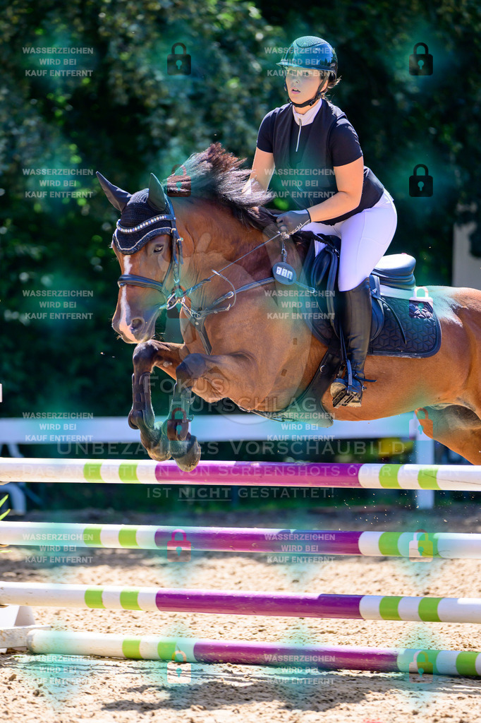29082026-Giesenbach-Prfg10-0844 | Fokus Hufschlag Fotografie - Realisiert mit Pictrs.com