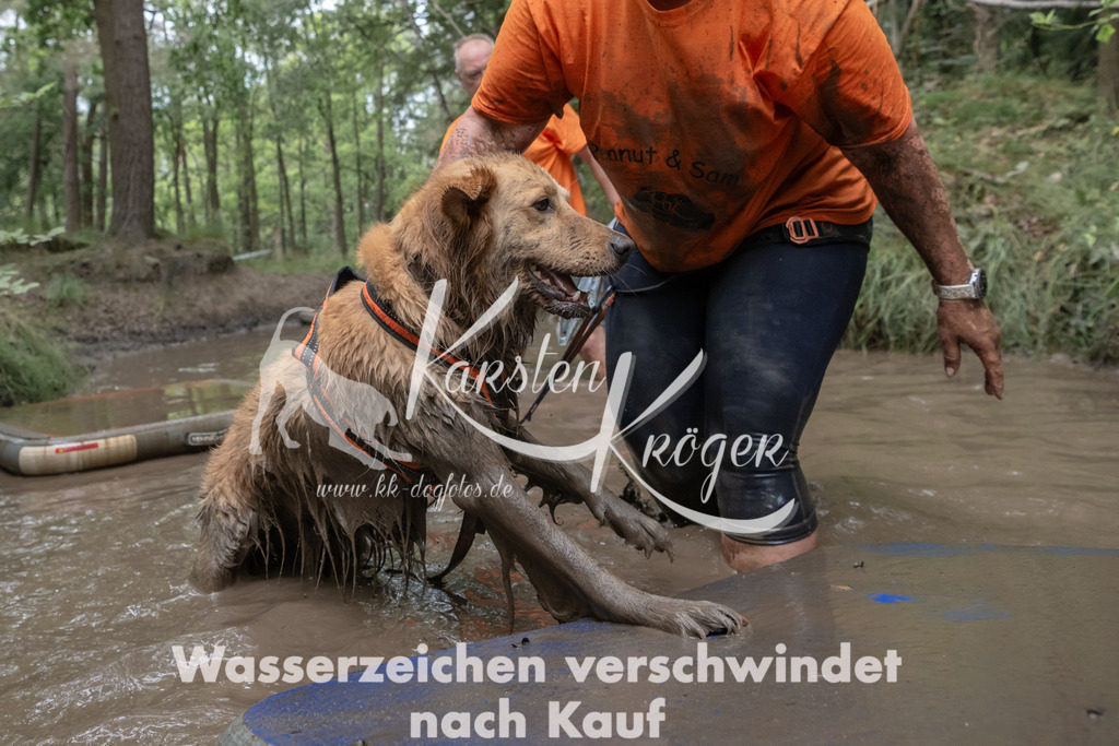 1345_ZZ95785 | kk-dogfotos
