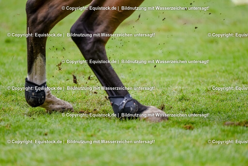 20250608_16_Quali-GP_Hess-Min-Präs_0223 | Foto: Thomas Hartig