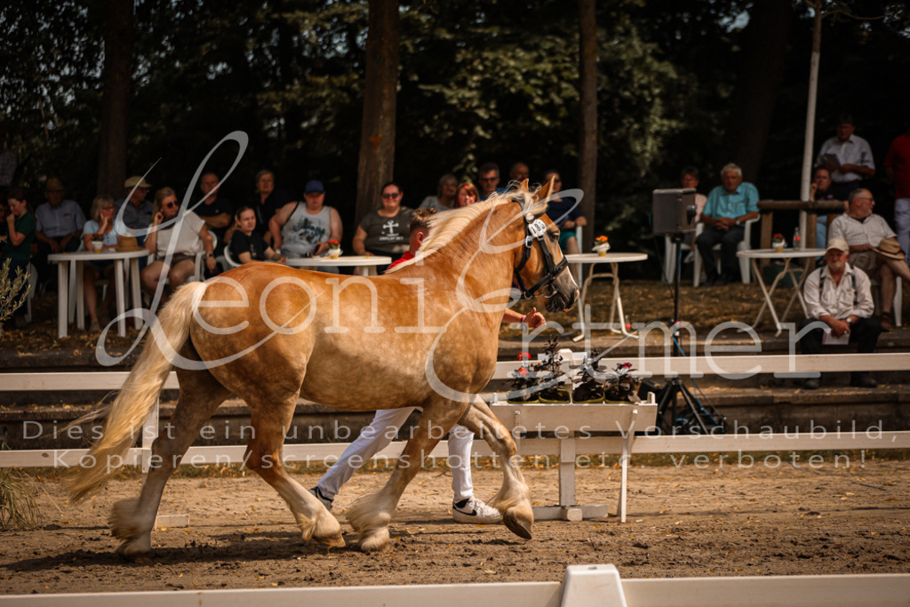2.Sa00058 | Leoni Ertmer Photography - Realisiert mit Pictrs.com
