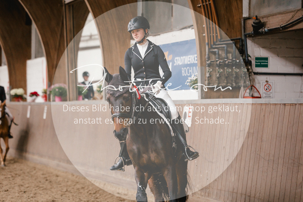 3I6A8037 | Stimmungsvolle Portraits und Reitsportfotografie im Ruhrgebiet und im Münsterland.

Pferdefotografie, Hundefotografie, Tierfotografie, Reportagen, Portraits von Tier und Mensch, Turnierfotografie in Bochum, Recklinghausen, Marl, Haltern am See, Dülmen.. - Realisiert mit Pictrs.com