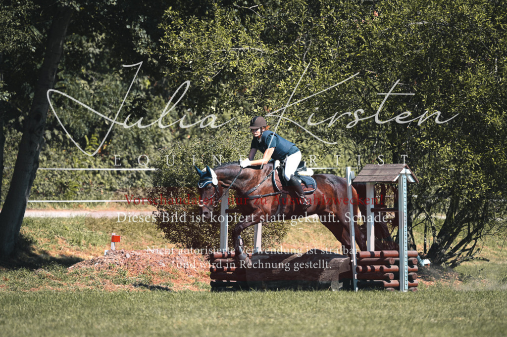 DSC_8043 | Pferde- und Turnierfotografie in Westsachsen. Pferdeportraits, Auftragszeichnungen und intuitive Kunst.